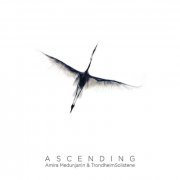 Amira Medunjanin, Trondheimsolistene - ASCENDING (2014) [Hi-Res]