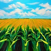 Deepzech - Corn Fields (2023)