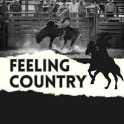 VA - Feeling Country (2024)