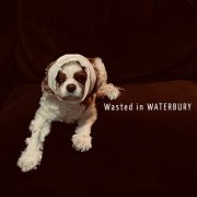 Waterbury - Wasted in Waterbury (2023) Hi Res