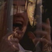 Torn Hawk - Watching Heat On Mute (2025) Hi-Res