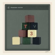 Transient Visitor - TV3 (2024)