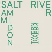 Sam Amidon - Salt River (2025) [Hi-Res]