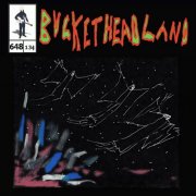 Buckethead - Skywatching (Pike 648) (2024)