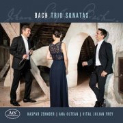 Kaspar Zehnder, Vital Julian Frey, Ana Oltean - J.S. Bach, C.P.E. Bach & Goldberg: Chamber Works (2021)