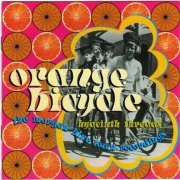 Orange Bicycle - Hyacinth Threads: The Morgan Blue Town Recordings (2001)