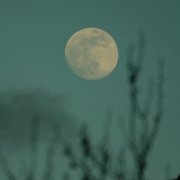 The Green Kingdom - Lunae (2026)