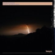 Seabuckthorn - A Path Within A Path (2025)