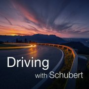 VA - Driving with Schubert (2021)