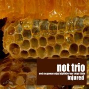 NOT TRIO - Injured (2018)