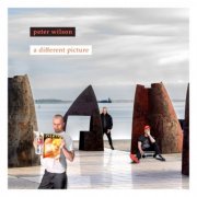 Peter Wilson - A Different Picture (2025)