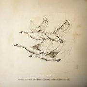 VA - Near The Pond - Wild Geese (2025) [Hi-Res]