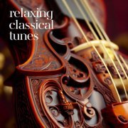 VA - Relaxing Classing Tunes (2023)