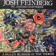 Josh Feinberg, Anindo Chatterjee - A Fallen Blossom in the Thorns (2017)