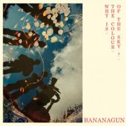 Bananagun - Why is the Colour of the Sky? (2024) [Hi-Res]