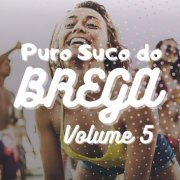 VA - Puro Suco do Brega Vol.5 (2024)