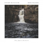 Mike Walker - The Space Between (2016) [Hi-Res]