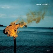 Steve Tibbetts - A Man About A Horse (2002) CD Rip