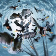 Empty old City - Strings in Owl (2026) Hi-Res