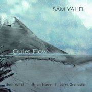 Sam Yahel - Quiet Flow (2025) [Hi-Res]