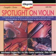 Aaron Rosand, Ivry Gitlis, Susanne Lautenbacher, Dieter Vorholz, Ruggiero Ricci - Spotlight on Violin (1990)