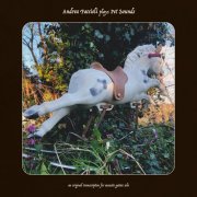 Andrea Faccioli - Andrea Faccioli plays Pet Sounds (2026) Hi Res