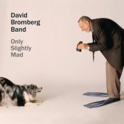 David Bromberg Band - Only Slightly Mad (2013) [FLAC]