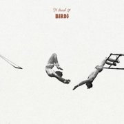 A Bunch Of Birds - A Bunch Of Birds (2025) [Hi-Res]