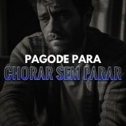 VA - Pagode pra chorar sem parar (2024)