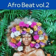 VA - Afro Beat, Vol.2 (2024)