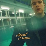 Rex Orange County - Apricot Princess (2017) FLAC