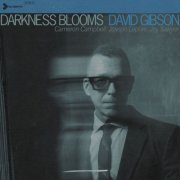 David Gibson - Darkness Blooms (2026) [Hi-Res]