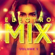 Electro Mix Vol 1 (A Selection Of Different Styles Of Indie Electronic Music) (2015)