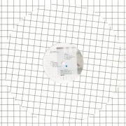 XENIA REAPER - Nept Polarisation (2025)