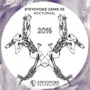 VA - Steyoyoke Gems Nocturnal 05 (2016) flac