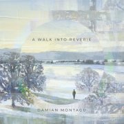 Damian Montagu - A Walk Into Reverie (2020)