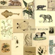 Willow Tree - Can't Unknow (2025)