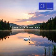 VA - Low Cortisol Music (2026)