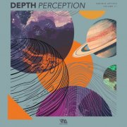 VA - Depth Perception Vol. 11 (2025)