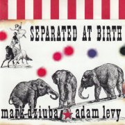 Mark Dziuba, Adam Levy - Separated At Birth (1998)