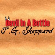 T.G. Sheppard - Devil In A Bottle (2010)