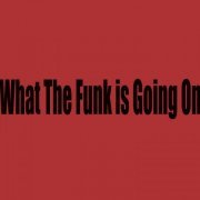 TheMAX - What The Funk Is Going On (2019) [Hi-Res]