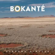 Bokante - Strange Circles (2017)