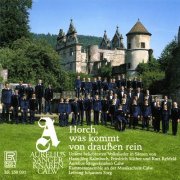 Johannes Sorg - Horch, was kommt von draußen rein par Aurelius Sängerknaben Calw (2025)