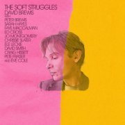 David Brewis - The Soft Struggles (2023) Hi Res