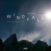 Ensemble Denada - Windfall Music by Helge Sunde (2013) [Hi-Res]