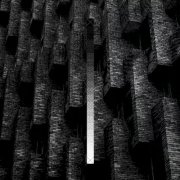 The Asteroid No.4 - In Praise of Shadows (2026)