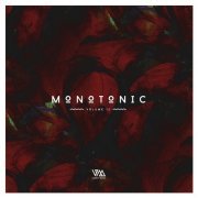 VA - Monotonic Issue 12 (2020)