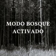 VA - Modo Bosque Activado (2024)