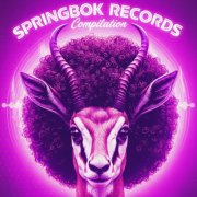 VA - Springbok Records Compilation (2026)